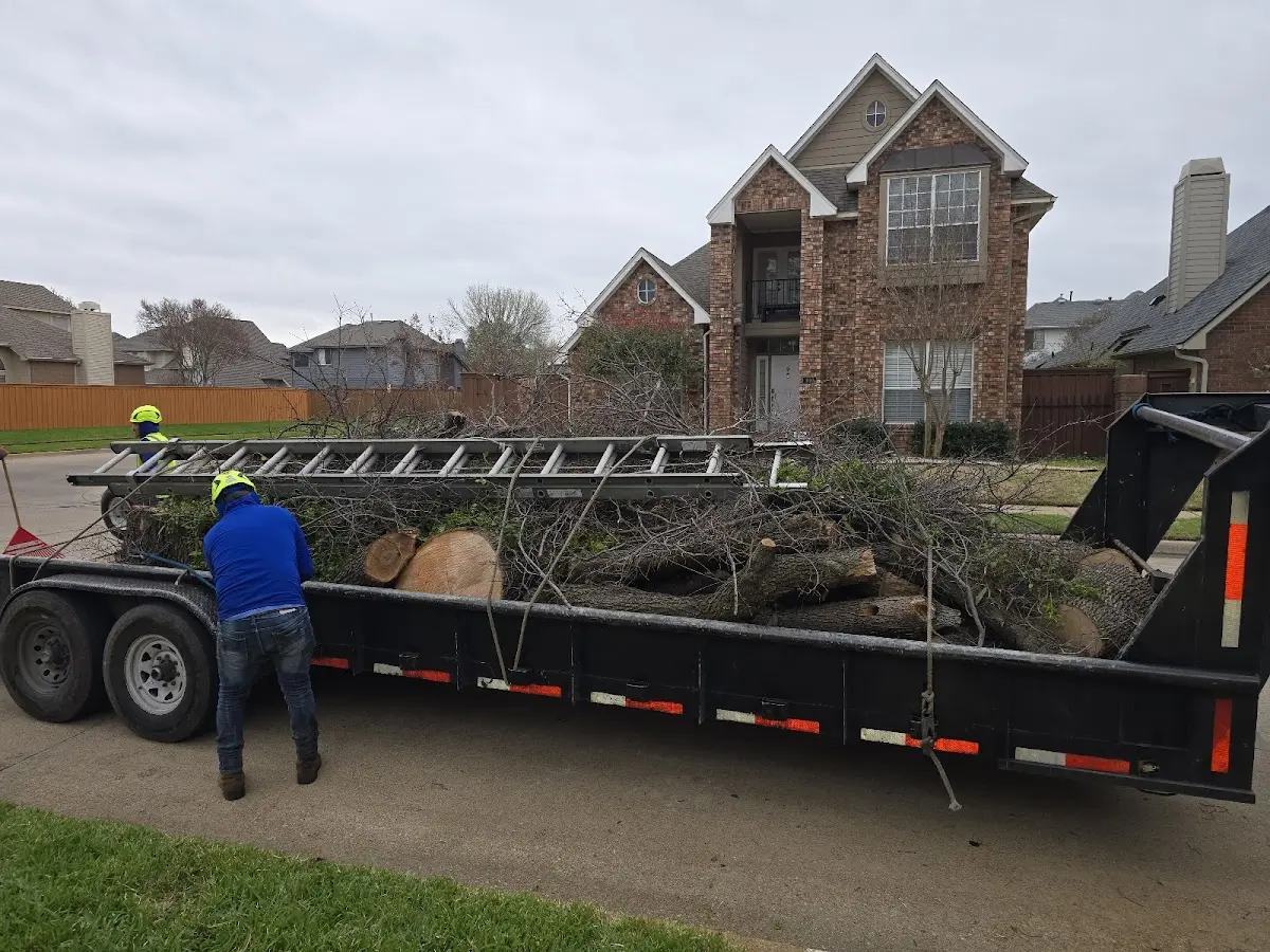 Expert Tree Fertilization with proper safety equipment in Ivanhoe